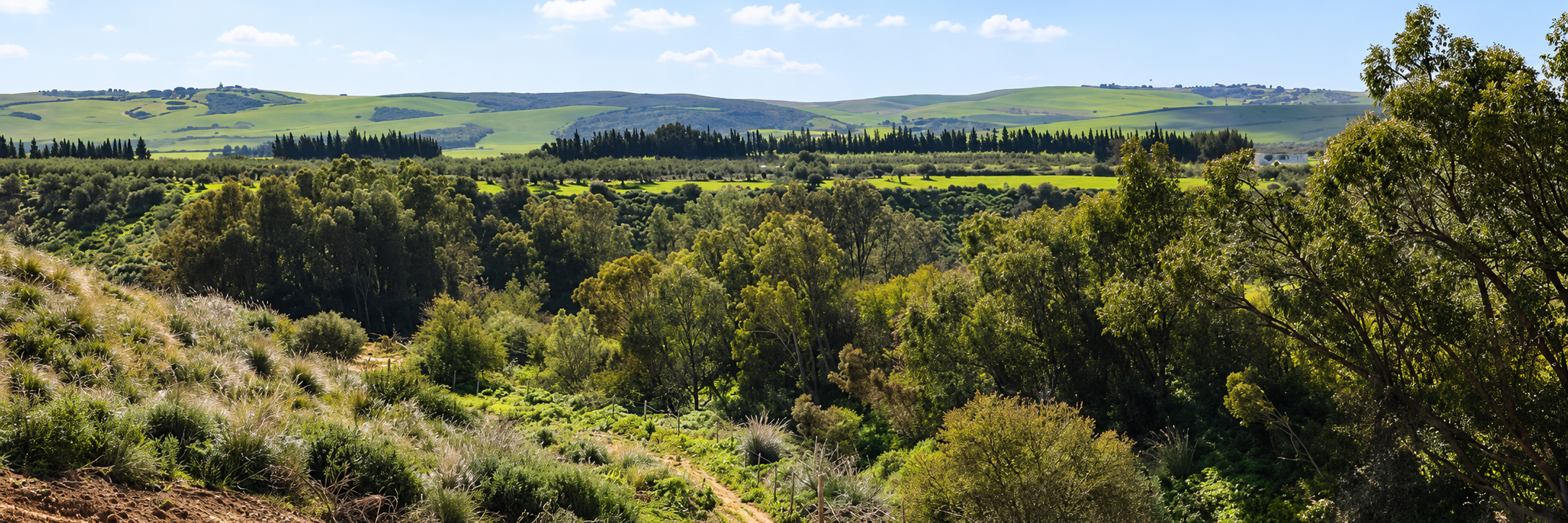 Le paysage verdoyant de la vallée d’Utique